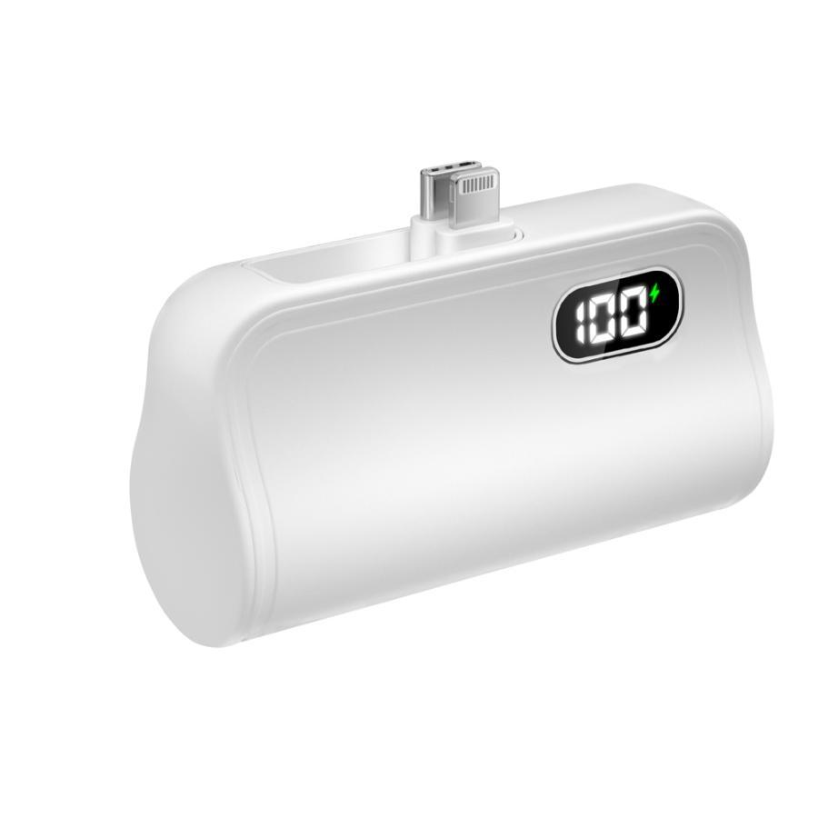 家庭用 ビーチサーフィン 軽量コンパクト 2段階水流モード TYPE-C急速充電 モバイルバッテリー 6800mAh Type-C/Lightning 直接充電 軽量 薄型