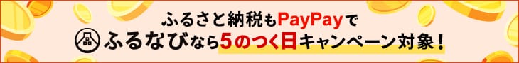 ふるさと納税もPayPayで ふるなびなら5のつく日キャンペーン対象！