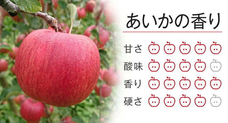 リンゴ品 フルプロ農園で収穫できるりんごの品種をご紹介｜フルプロ農園