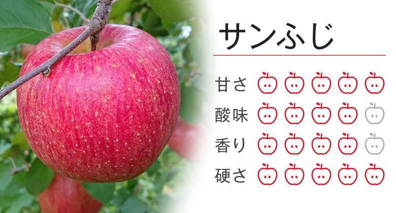 リンゴ品 BR326_media-1.jpg?resizeid=2&