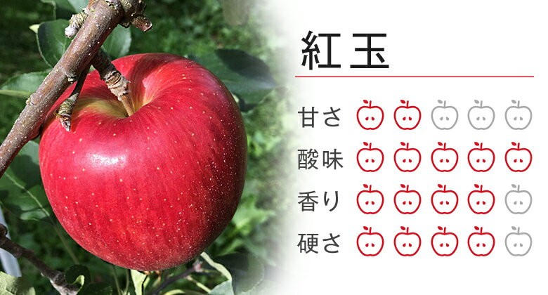フルプロ農園で収穫できるりんごの品種をご紹介｜フルプロ農園楽天市場店