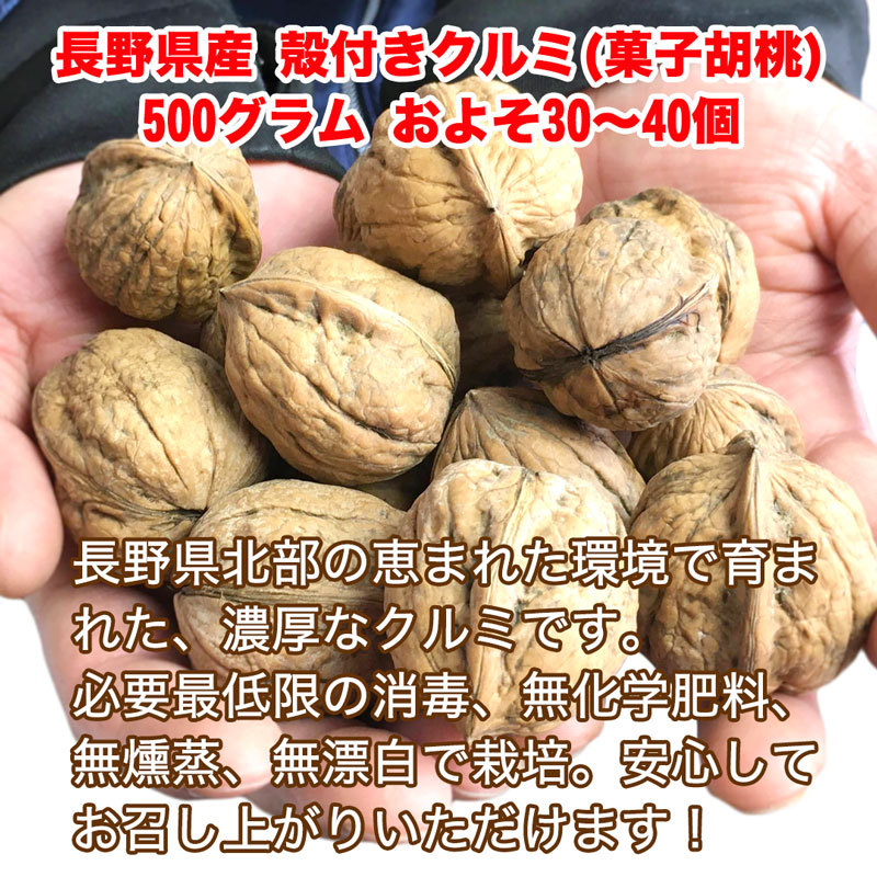 長野県産 クルミ 殻付き 500グラム およそ30 50個 減農薬 無燻蒸 無漂白 信州産 くるみ Kurumi 1k フルプロ 通販 Yahoo ショッピング