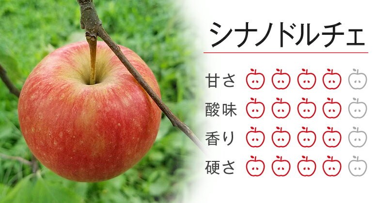 フルプロ農園で収穫できるりんごの品種をご紹介｜フルプロ農園楽天市場店