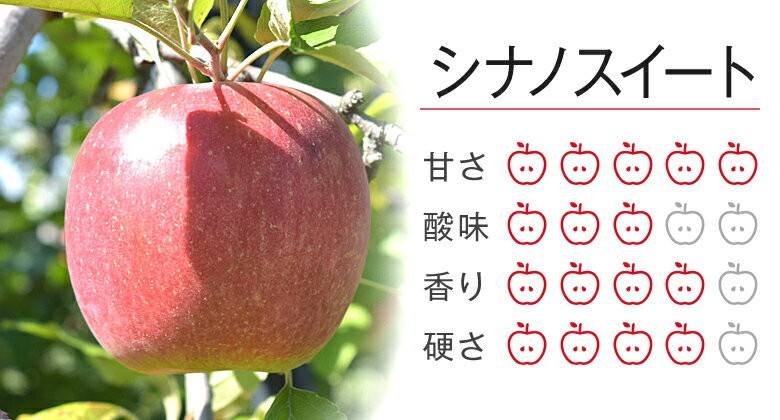 フルプロ農園で収穫できるりんごの品種をご紹介｜フルプロ農園楽天市場店