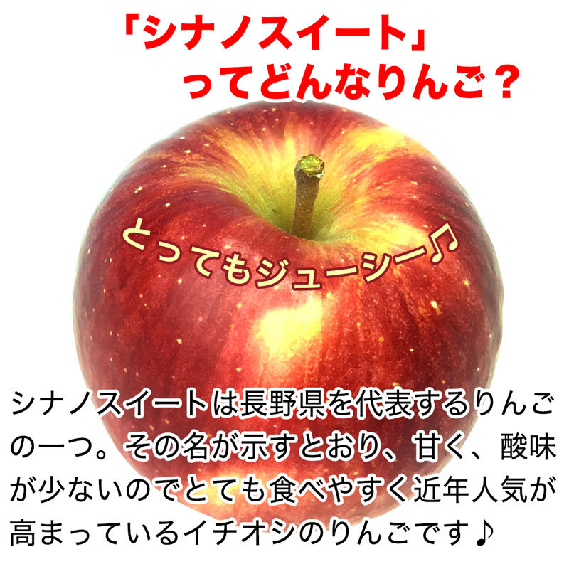 贈答用】シナノスイート 約4.5kg およそ12-20玉 葉とらず 信州りんご 減農薬 長野県産 産地直送 送料無料 ギフト 10月中旬より  ＃NAS0A045 :shinanosweet-a-5k:フルプロ - 通販 - Yahoo!ショッピング