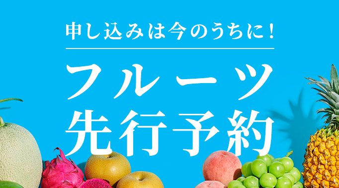フルーツ先行予約の返礼品一覧