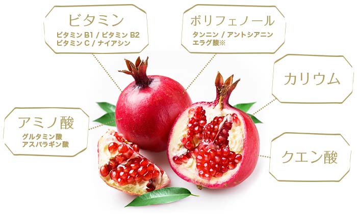 高速 割引 2025 東日本 オーガニックざくろジュース100％ストレートジュース 750ml その他
