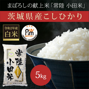 米 10kg (5kg×2) 令和5年産 コシヒカリ 特A 五ツ星お米マイスター 食味