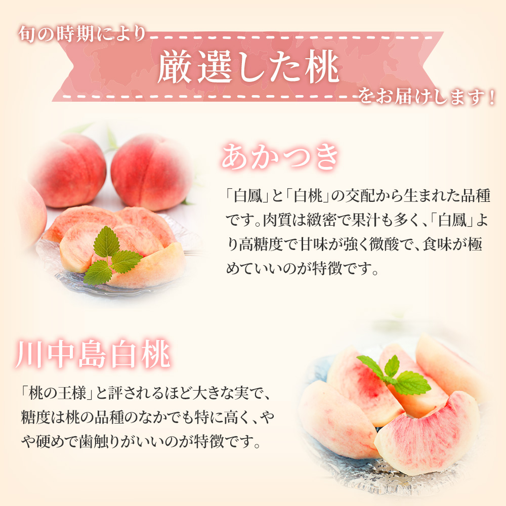 桃 白桃 大玉 特選 秀品 約1.7kg 5-8玉 品種おまかせ 最高級 福島県産