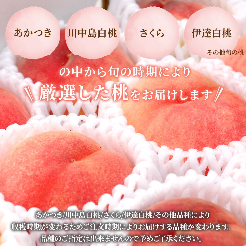 桃 白桃 大玉 特選 秀品 約1.7kg 5-8玉 品種おまかせ 最高級 福島県産