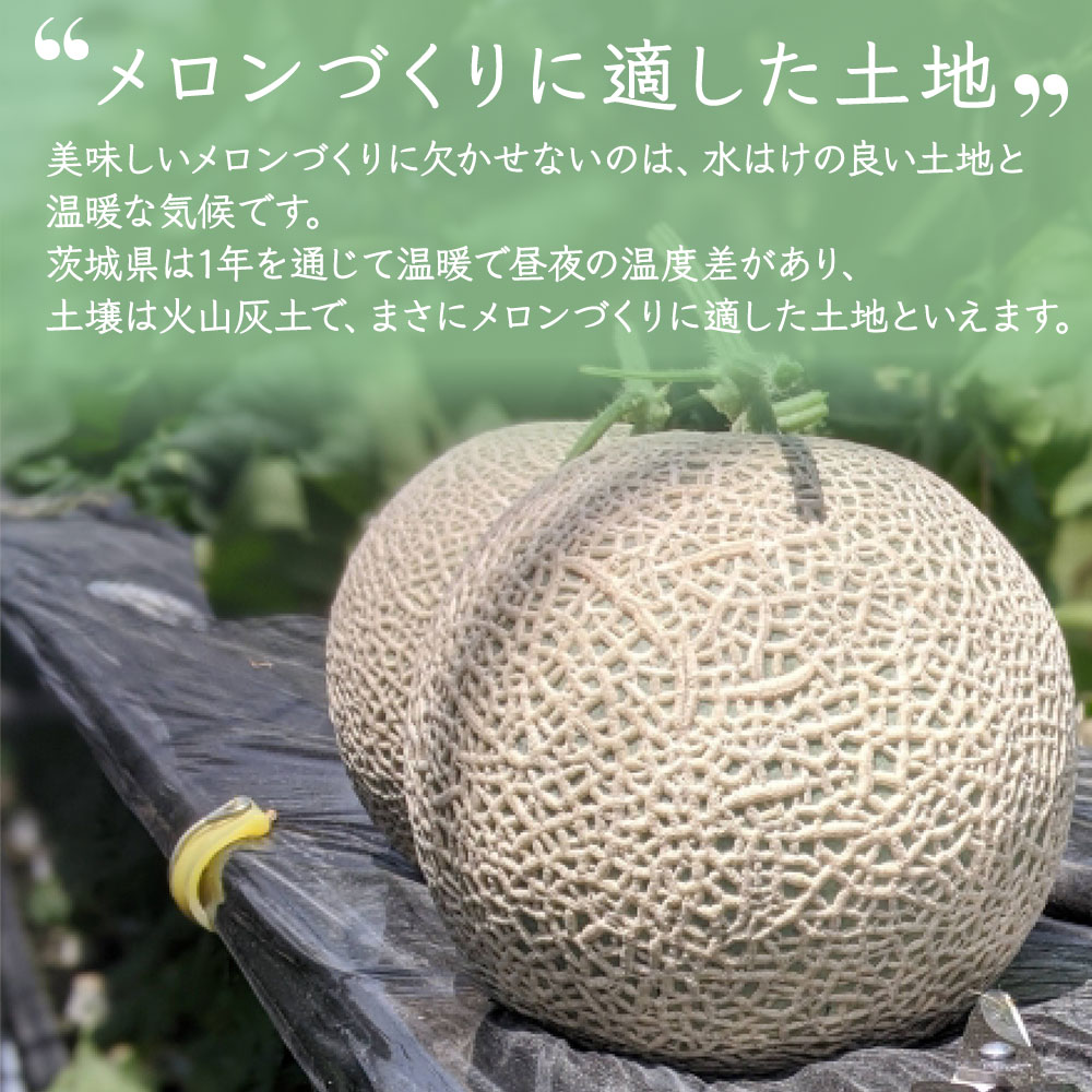 メロン大玉 5玉入り 9kg アールスメロン 家庭用 贈答も ラスト メロン 大玉 5kg 3~4L 3~4玉 優品以上 アンデスメロン オトメメロン