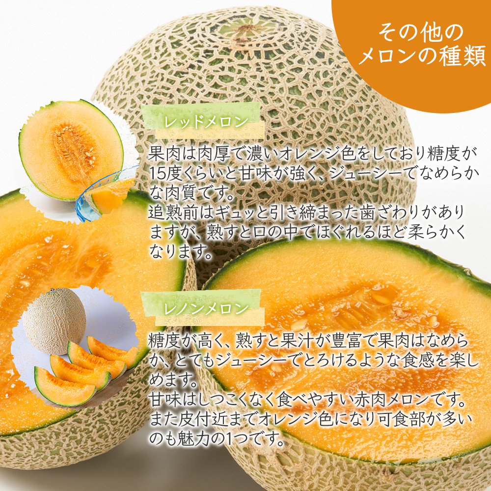 メロン 大玉 5kg 3~4L 3~4玉 優品以上 クインシーメロン レッドメロン