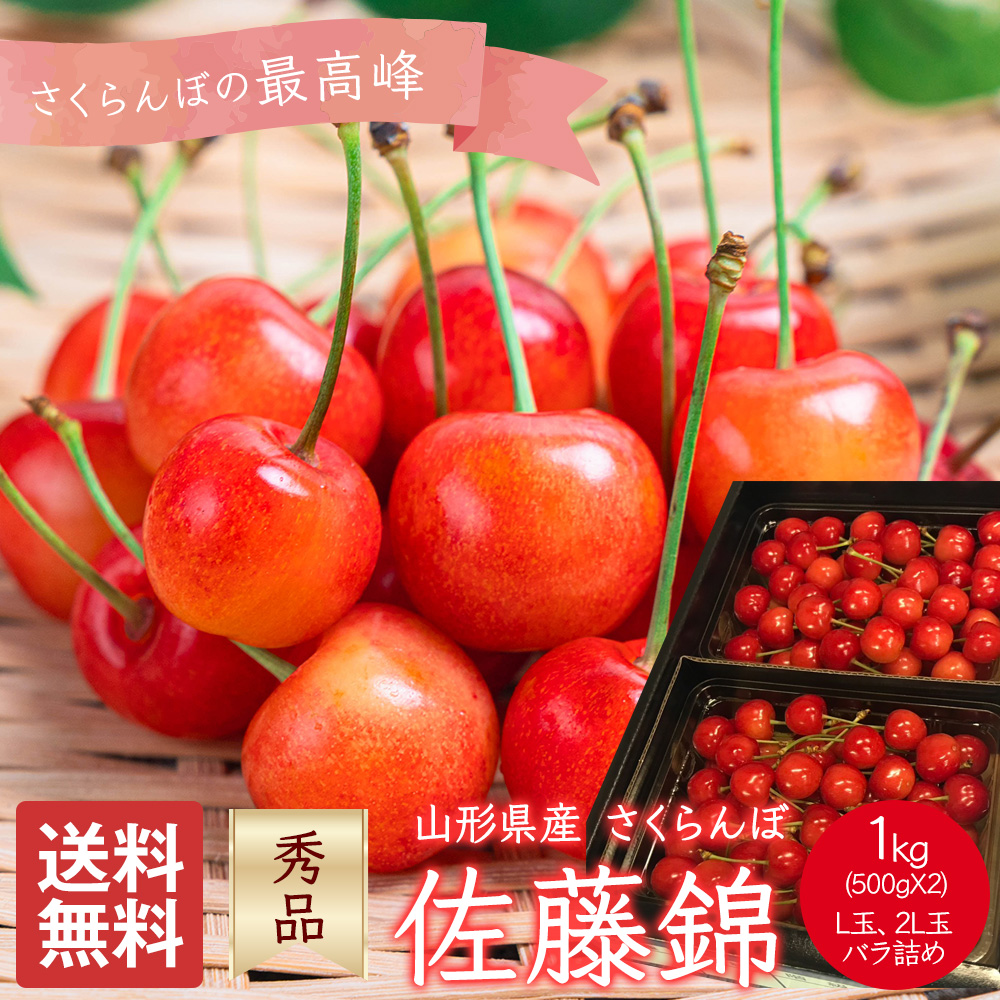 さくらんぼ 佐藤錦 山形県産 秀品 1kg (500g×2) L玉 2L玉 バラ詰め 家庭用 贈答用 ギフト 桜桃 サクランボ 果物 くだもの フルーツ
