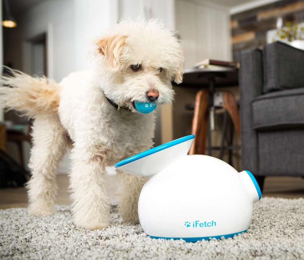 iFech 犬用ボール遊び iFetch 愛犬用 自動キャッチボールおもちゃ (小型犬〜中型犬用
