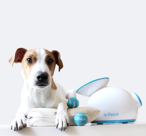 iFetch 愛犬用 自動キャッチボールおもちゃ (小型犬〜中型犬用