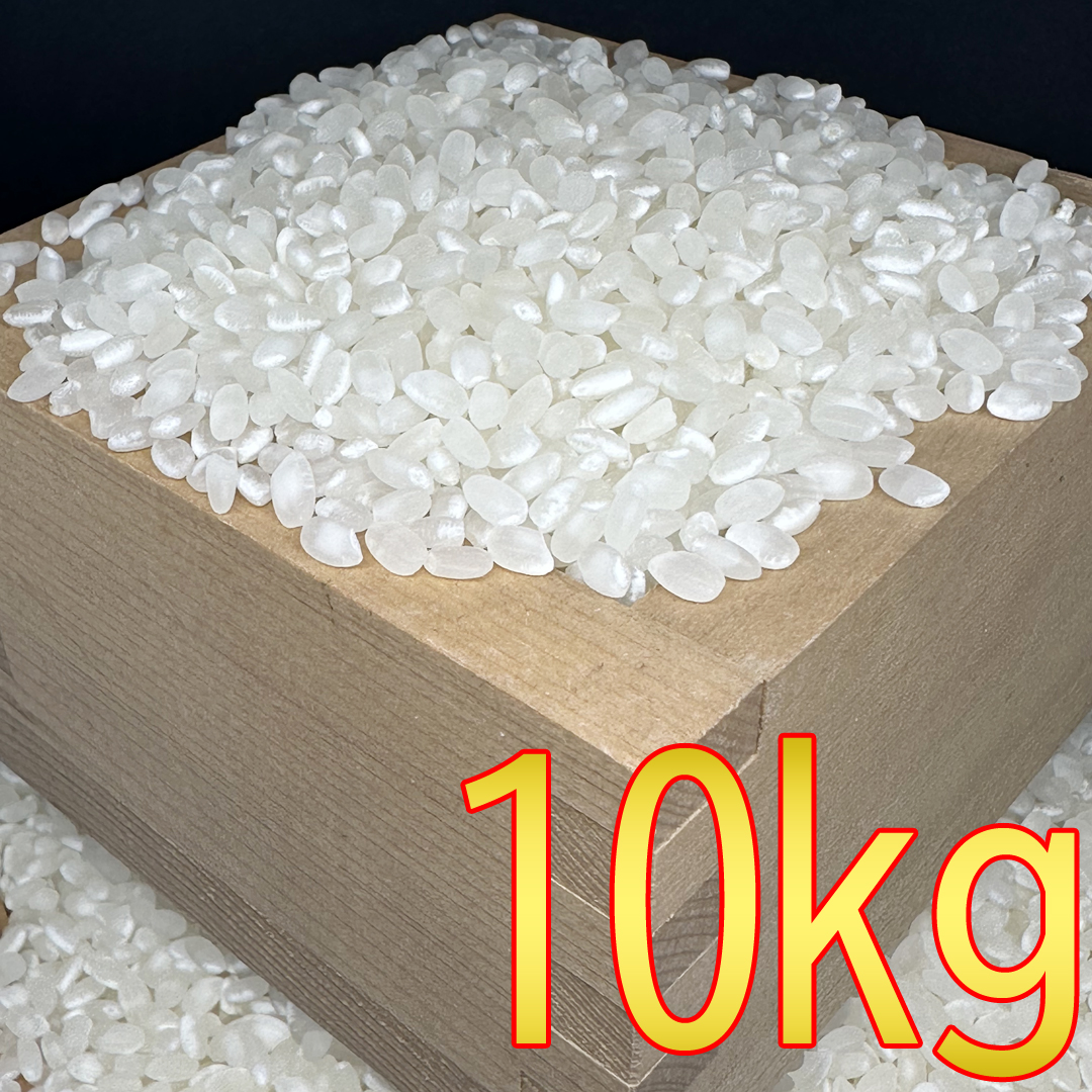 お米10kg