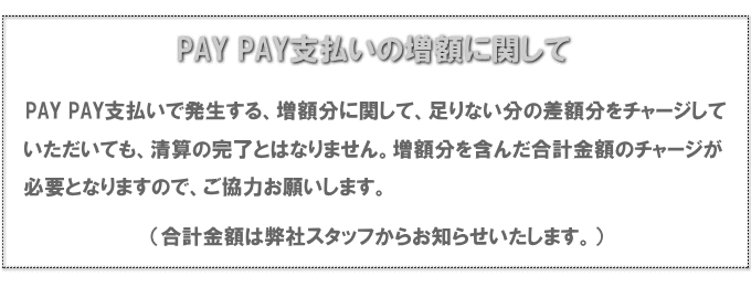 PAY増額説明