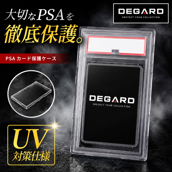 cardcase-lp01.jpg