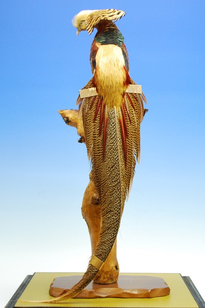 江戸甲冑】三分の一 小桜革縅之御甲冑 加藤一冑作−人形のフタバ【送料