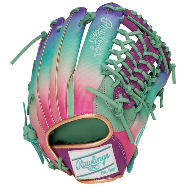 Rawlings ローリングス 軟式用 オールラウンド用 グラブ Rawlings（ローリングス） 野球 軟式グラブ HOHGRAPHICN6 オール