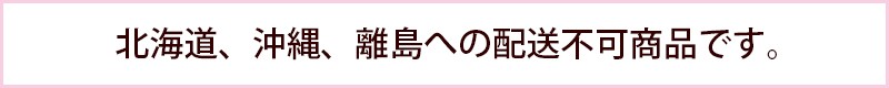 北海道沖縄離島配送不可