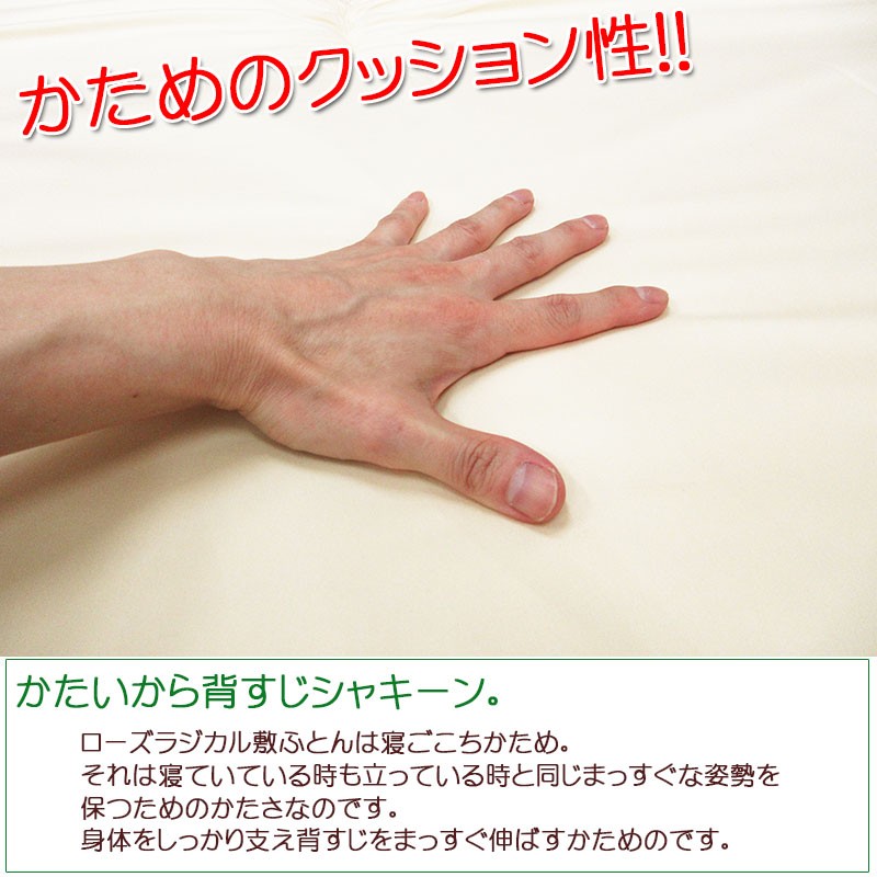 西川（nishikawa） 【数量限定！大特価！】【京都西川】ローズラジカル