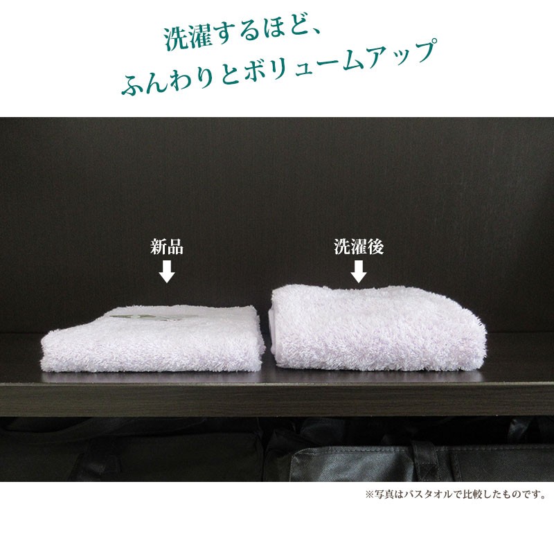 西川（nishikawa） 昭和西川 タオルケット シングル 140×200cm 綿100
