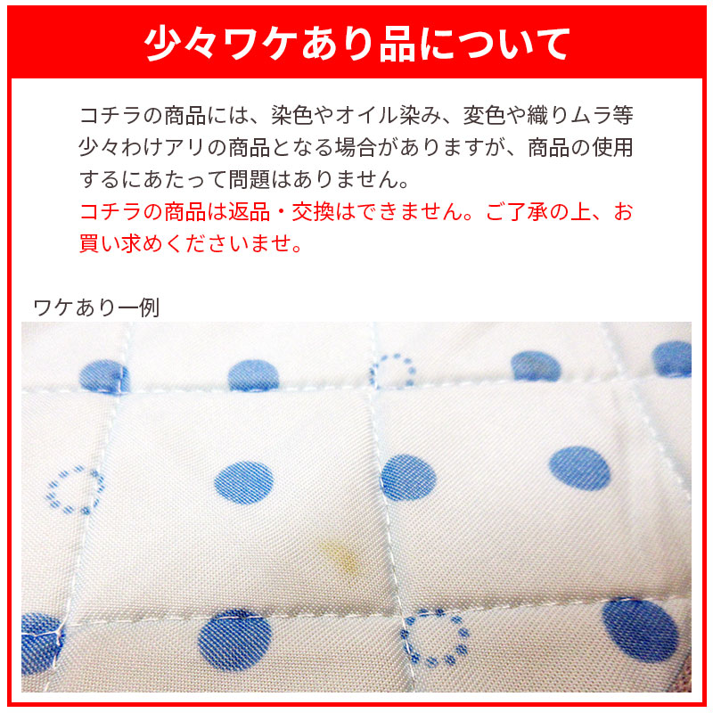 アイスリープ-ワケあり