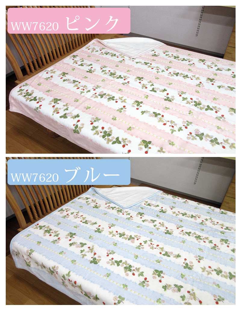 西川 ウェッジウッド 綿毛布 シングル WEDGWOOD 140×200cm 綿100