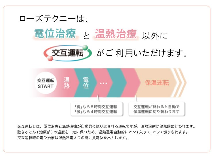 ローズテクニー【JNR-1003（SGI）No.90】電位・温熱組合せ家庭用医療