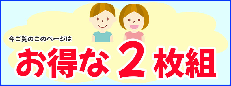 お得な2枚組