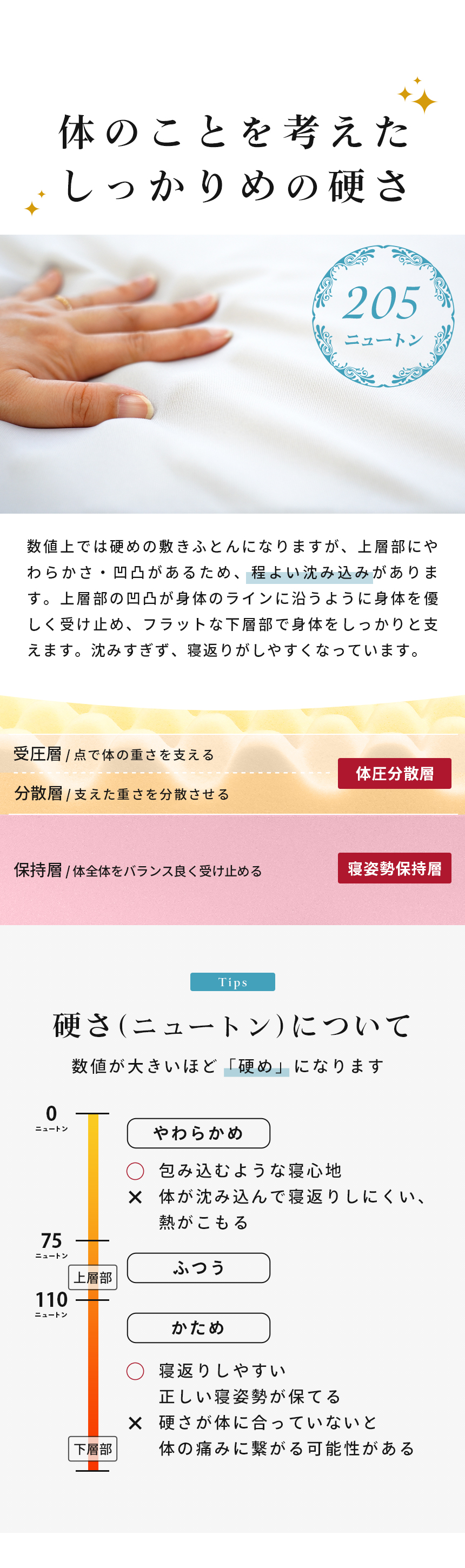 しっかりめの硬さ