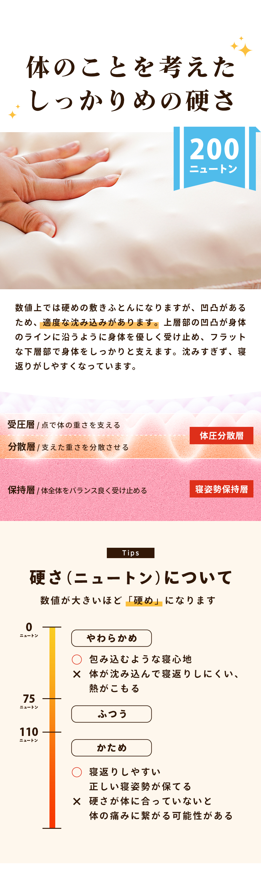 しっかりめの硬さ