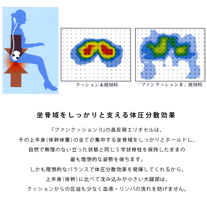 magniflex（マニフレックス） ファンクッションII 背もたれ付き チェア