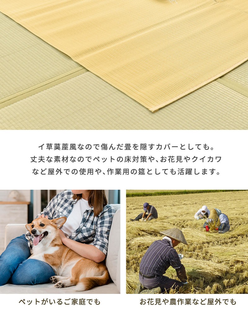 イケヒコ い草風PPカーペット ラグ 6畳 江戸間 261×352cm 日本製 イケヒコ い草風PPカーペット ラグ 6畳 江戸間 261×352cm 日本製