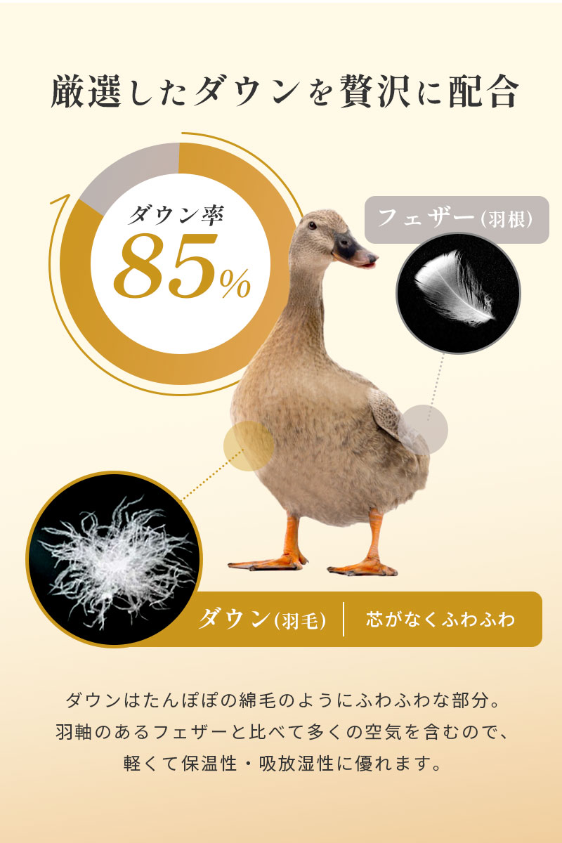 羽毛布団 シングル 暖かい布団 昭和西川 ダウン85％ 1.1kg 立体キルト