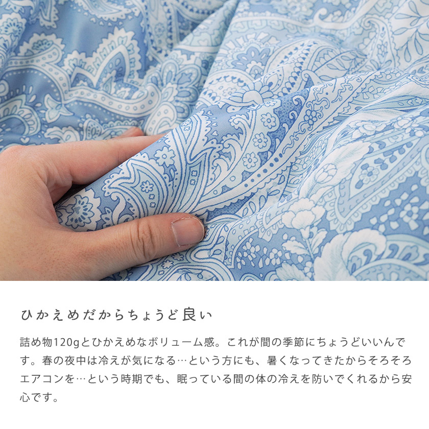 昭和西川 羽毛肌掛け布団 ハーフサイズ ダウン50% 夏 夏用 昭和西川 羽毛肌掛け布団 ハーフサイズ ダウン50% 夏 夏用