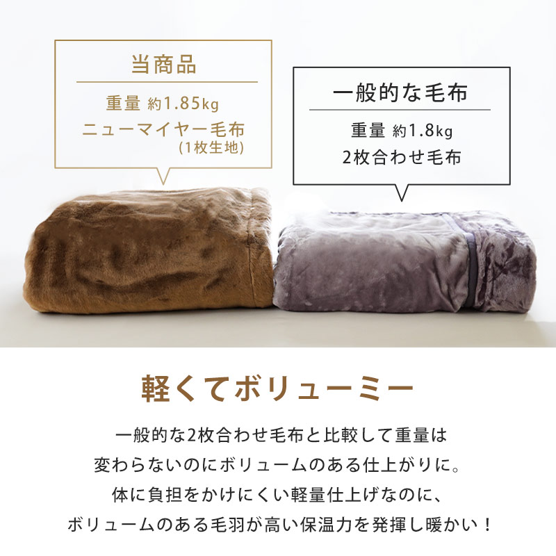 毛布 縁起物毛布 シングル 干支毛布 辰年 辰 令和六年 2024 虎柄
