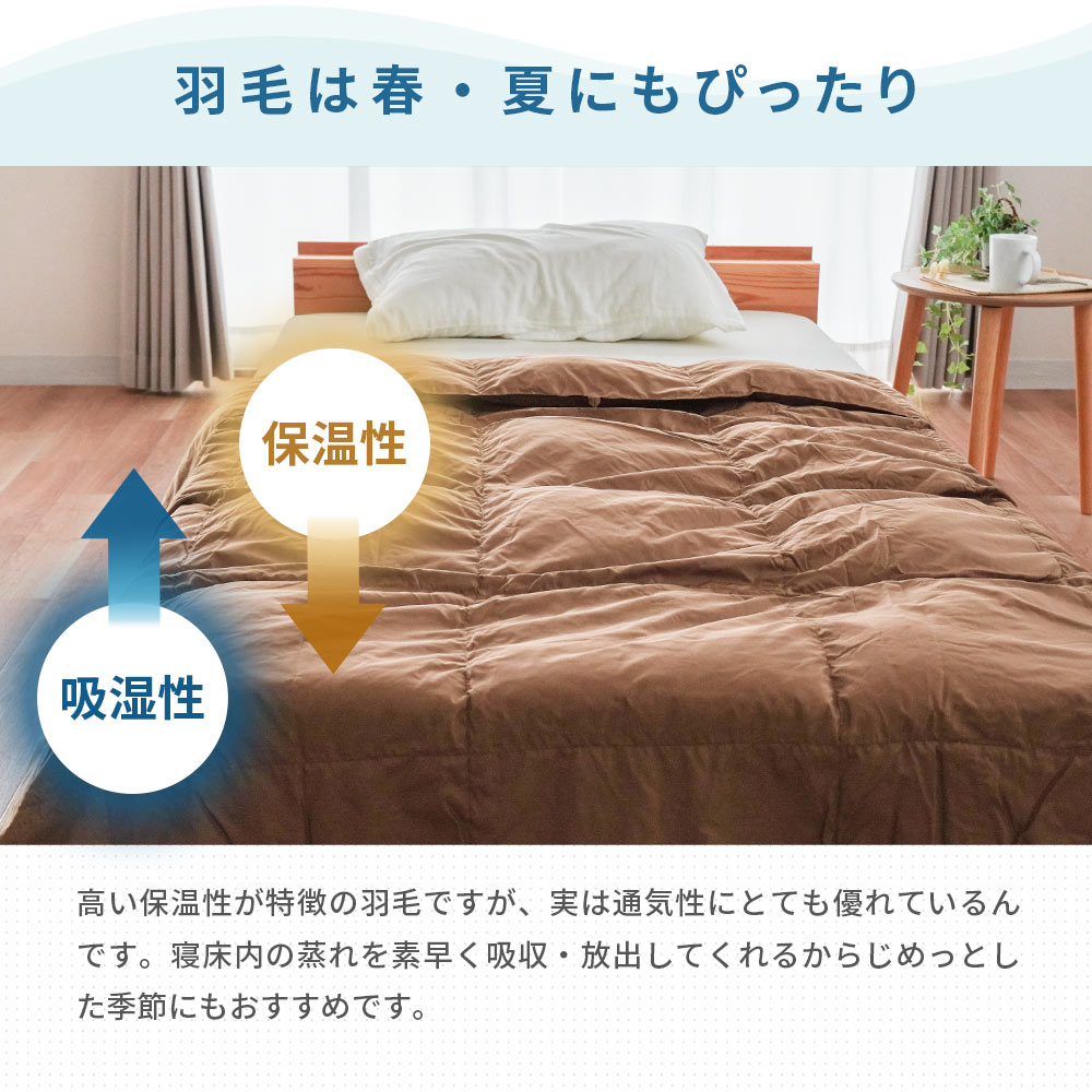 ダウンケット 羽毛肌掛け布団 シングル ダウン50％ 夏用 無地カラー