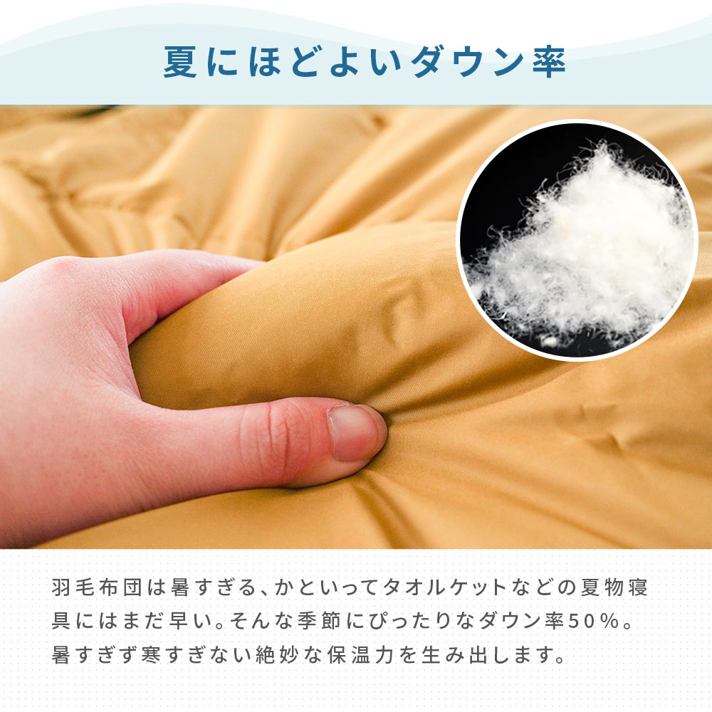 ダウンケット 羽毛肌掛け布団 シングル ダウン50％ 夏用 無地カラー