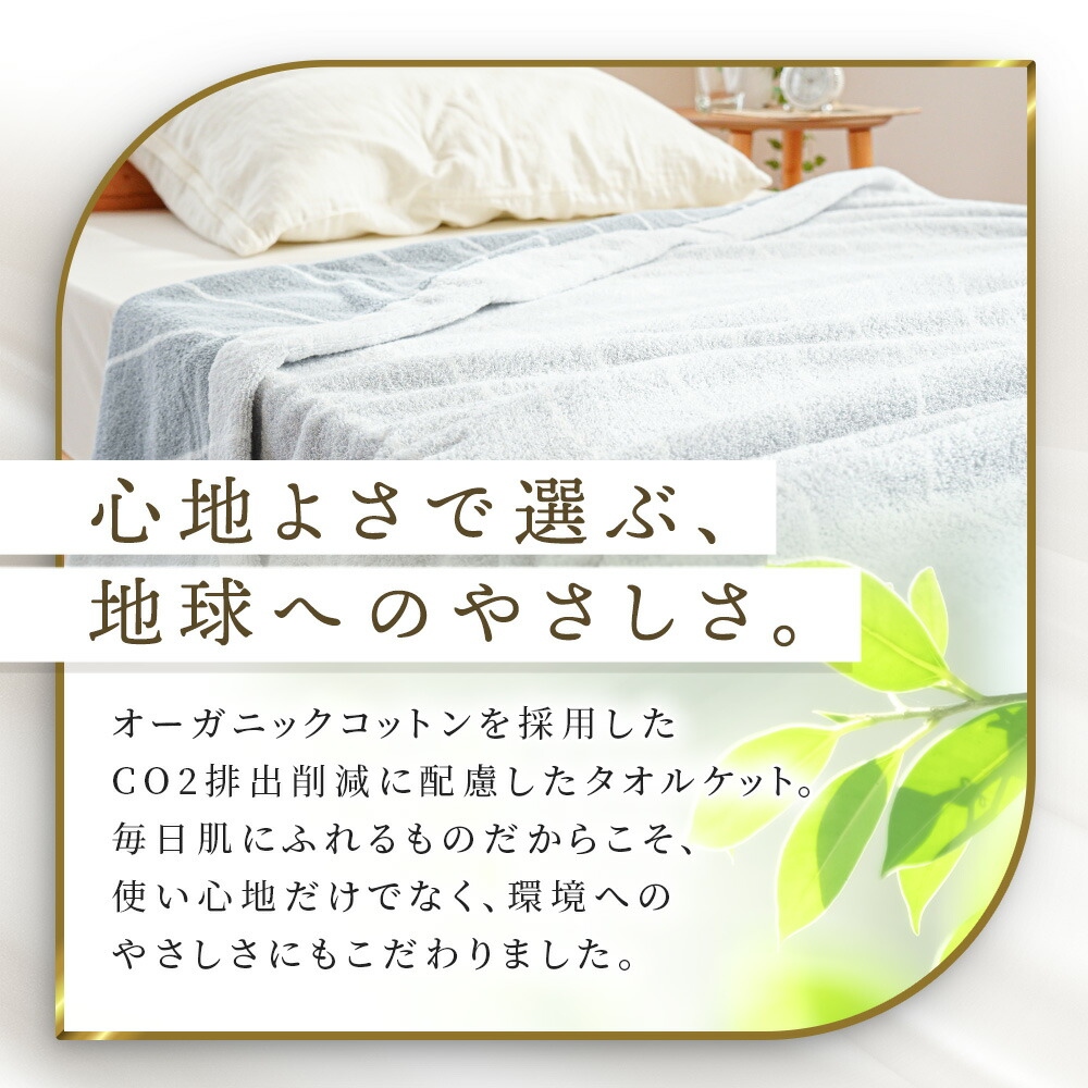 今治タオル（imabari towel） タオルケット 今治 シングル 2枚セット