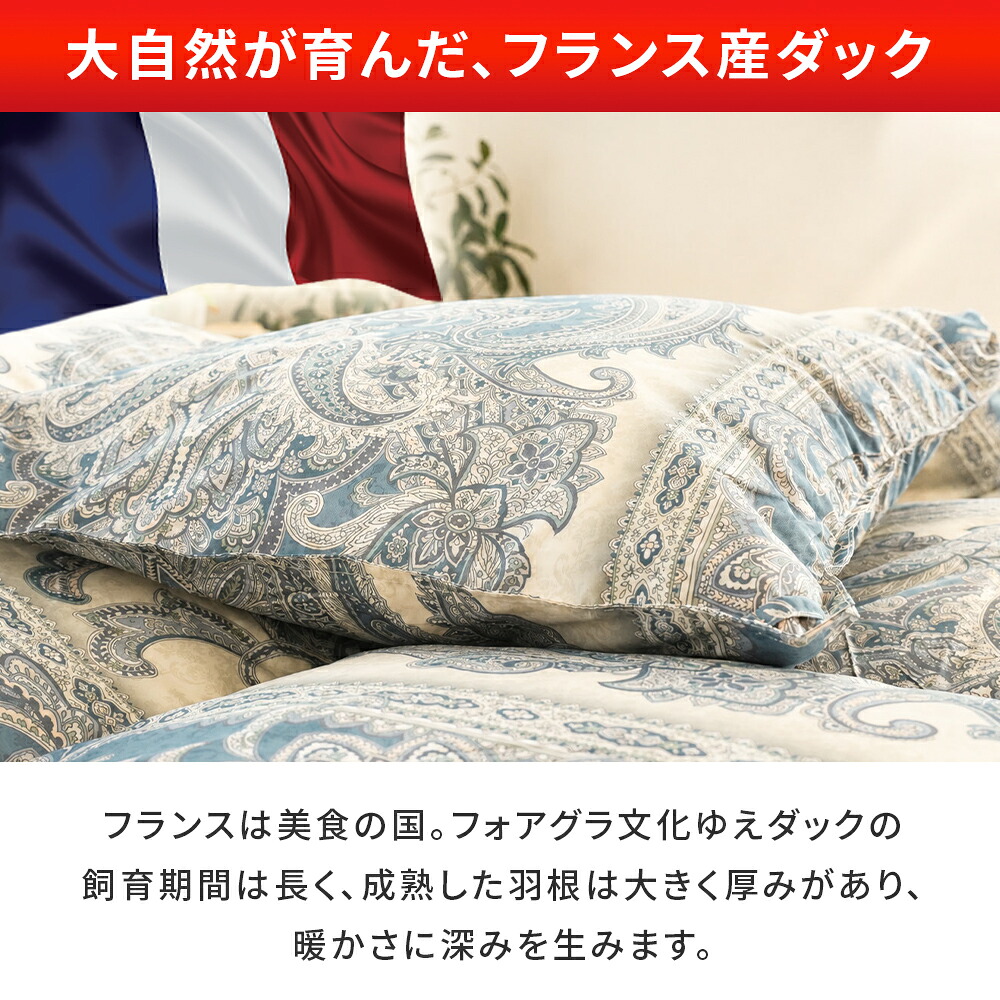 羽毛布団 シングル フランス産 ダックダウン85％ 1.0kg 日本製