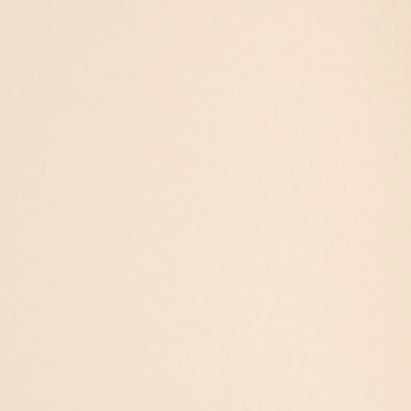 ビーズクッション カバー Mサイズ カバー単品 50×50×35cm ビーズ クッション ソファ 椅子｜futoncolors｜06
