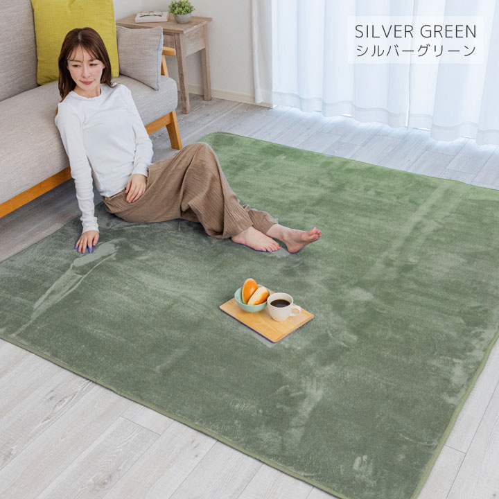 Colorsroom ラグ カーペット 洗える 3畳 おしゃれ オールシーズン 200