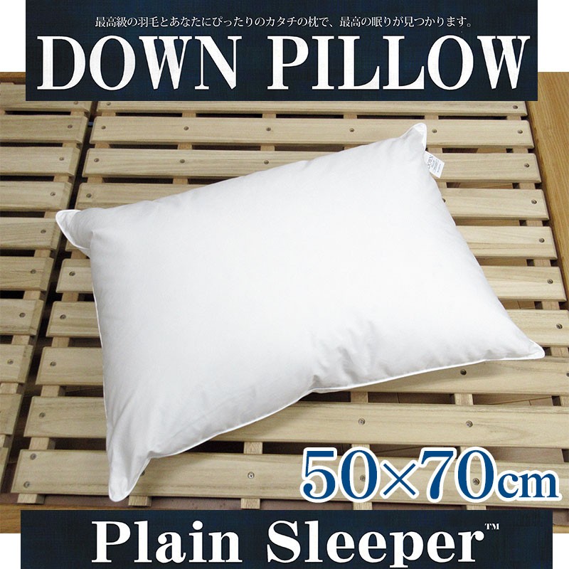 大判　ダウンピロー2個 + 専用ピロケース2枚　(768) 大判 ダウンピロー2個 + 専用ピロケース2枚 (768) 大判 ダウンピロー2