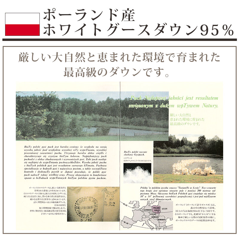 西川（nishikawa） シルクカバープレゼント! 京都西川 羽毛布団