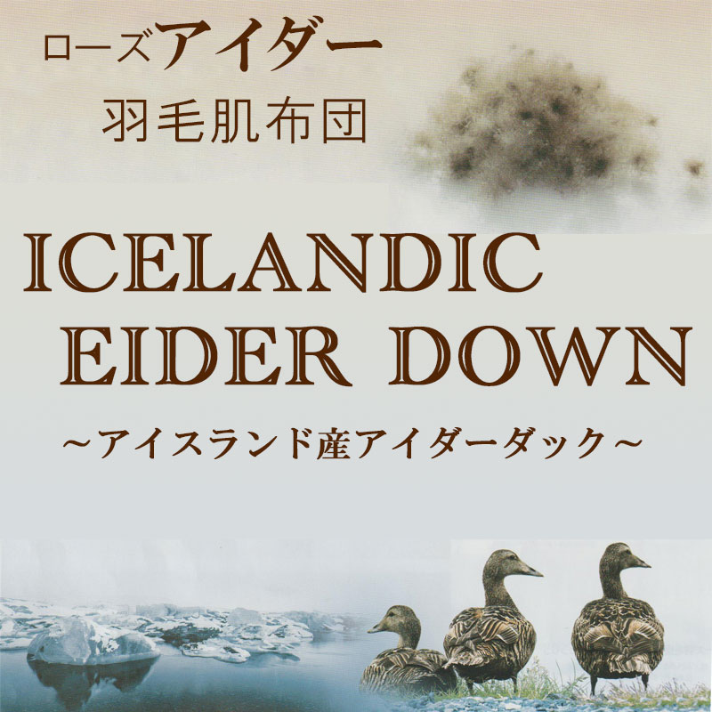 京都西川 最高級羽毛肌布団 アイスランド産アイダーダックダウン95％ 【今だけ限定！高級シルクカバープレゼント】 シングルロング : uh-eider  : ふとん伊月 徳島 三軒屋店 - 通販 - Yahoo!ショッピング