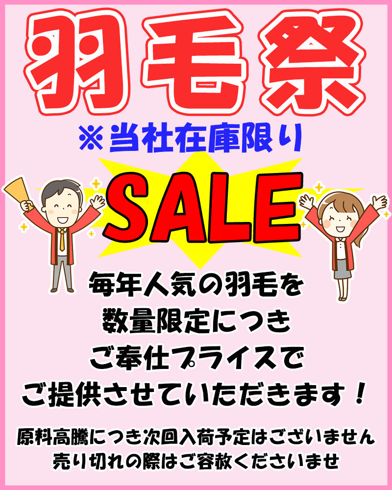 【昭和西川】羽毛布団 マザーグース93％ シングル DP420以上 1.2kg 西川 羽毛掛布団 シングルロング SL 420dp ダウンパワー420  立体キルト