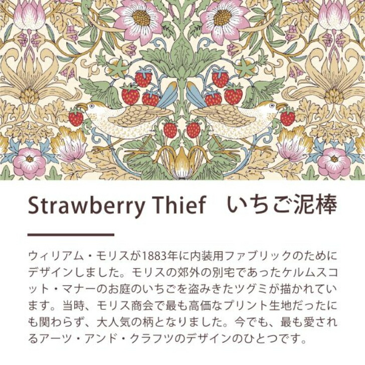 ロマンス小杉 綿毛布(毛羽部分) シングル 日本製 いちご泥棒