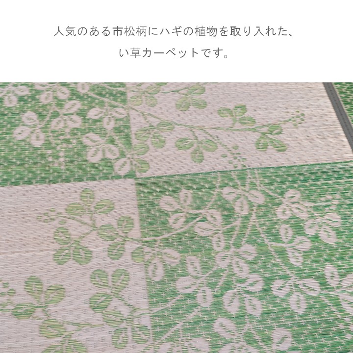 敷物 帖物（い草） ＤＸ萩 ＧＮ 191×191cm【メーカー直送商品】_1